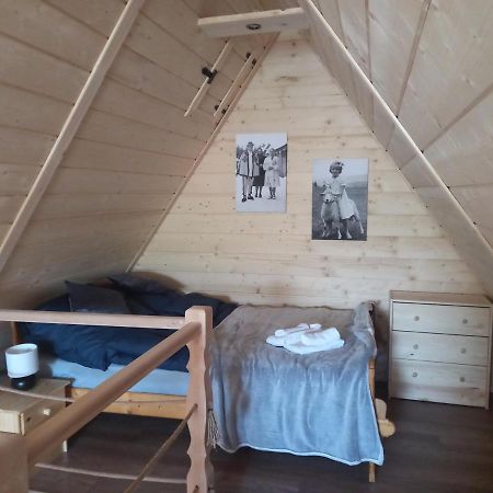Apartament Szarotka Закопане Екстериор снимка